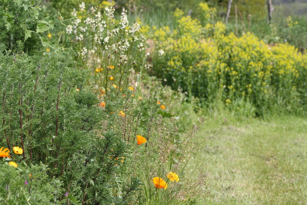 Bed and Breakfast Le Hameau Du Quercy Frontenac  Екстер'єр фото