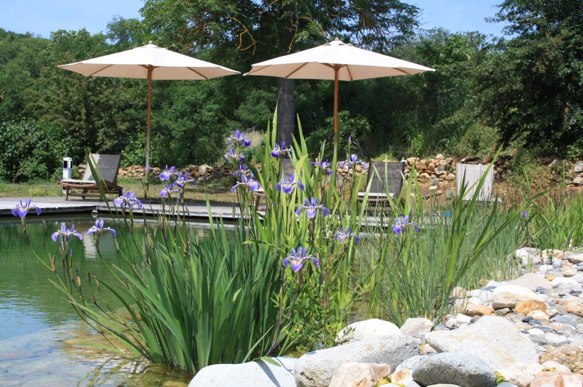 Bed and Breakfast Le Hameau Du Quercy Frontenac  Екстер'єр фото